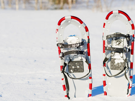 Snowshoe Trails Day Pass